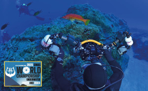 Estartit y el Mundial de Fotografía y Video Submarino