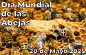 Día Mundial de las Abejas 2025
